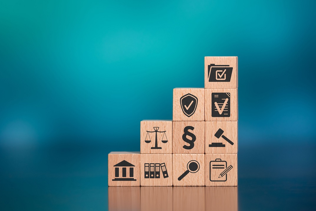 puzzle governance organizzazioni