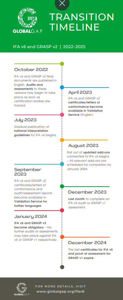 transition timeline.png