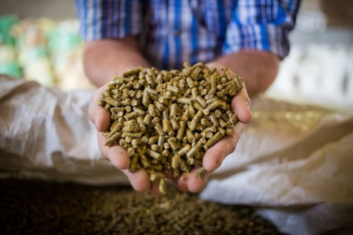 Händer håller upp djurpelletsfoder över en säck.