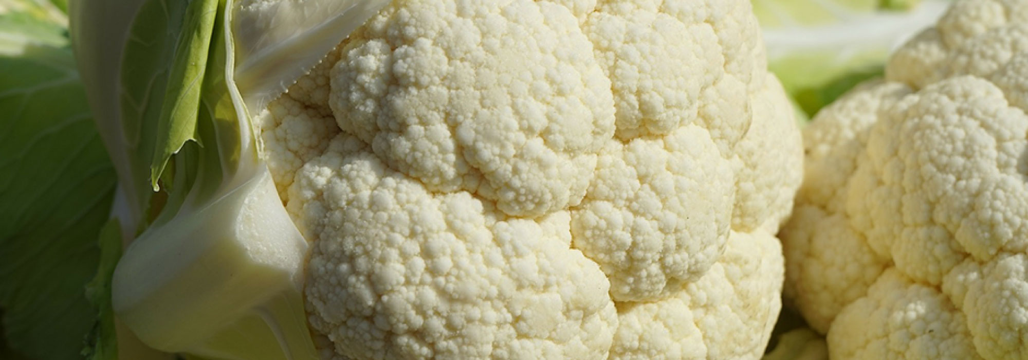Certificación Orgánica China Flor de Coliflor fresca de color blanco con hojas verdes alrededor, colocada sobre una superficie de madera.