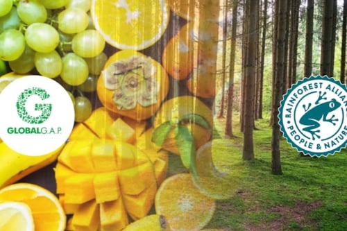 GLOBALG.A.P y Rainforest