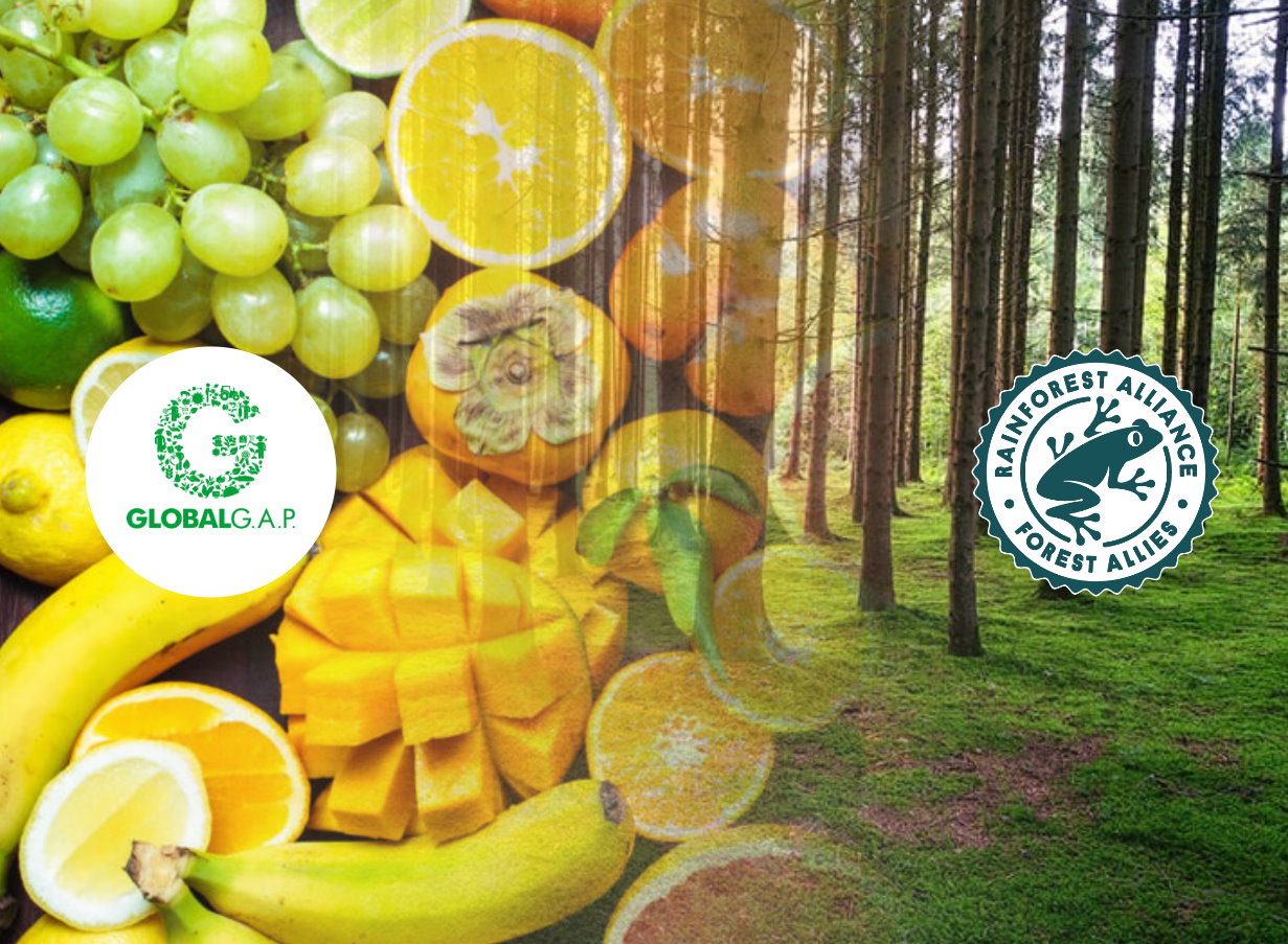 Frutas frescas como uvas, mangos, plátanos y cítricos junto a logos de GlobalG.A.P. y Rainforest Alliance, con un fondo de bosque.