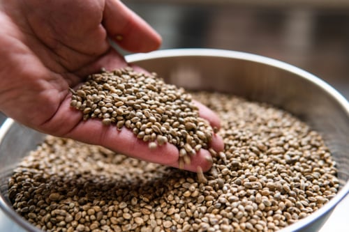 Hand die een hoeveelheid mengvoer uit een metalen schaal toont.