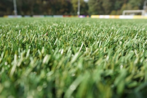 Groen grasveld op een voetbalveld met bomen op de achtergrond.