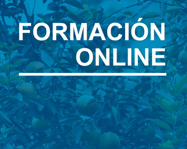 portada formación online CoC