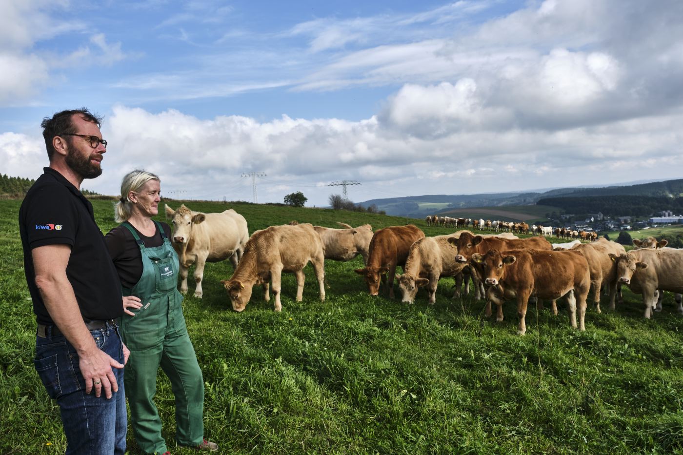 people surrounded by cows