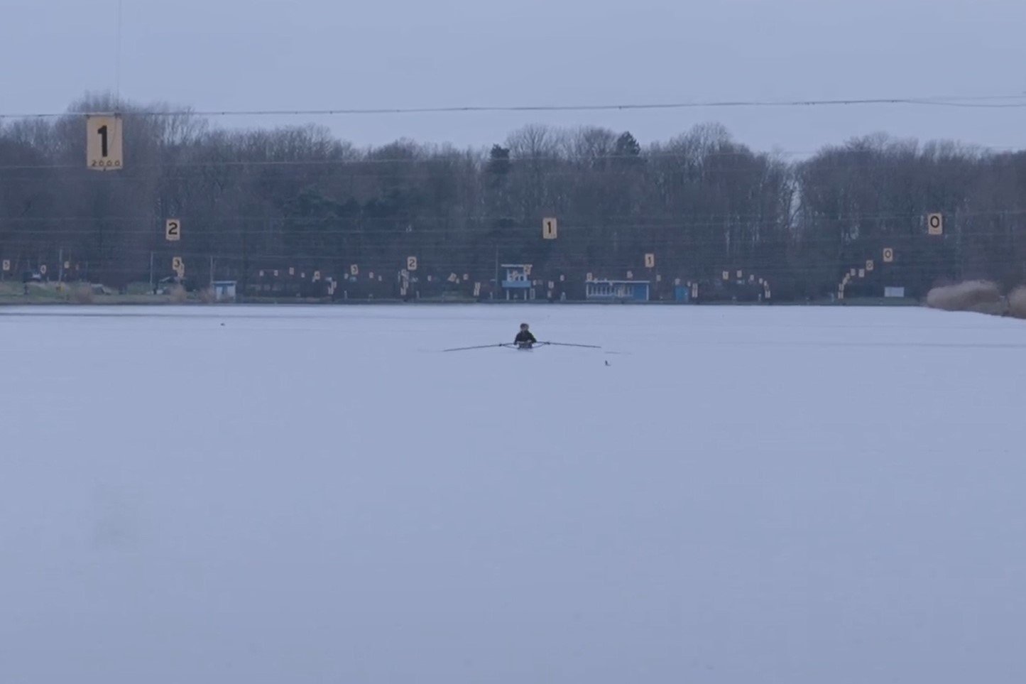 Roeien op de bosbaan