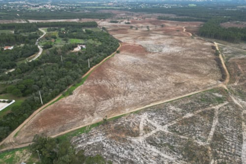 Aerial view of a deforested landscape with patches of dry, bare soil and surrounding green forested areas, highlighting environmental impact and land use changes