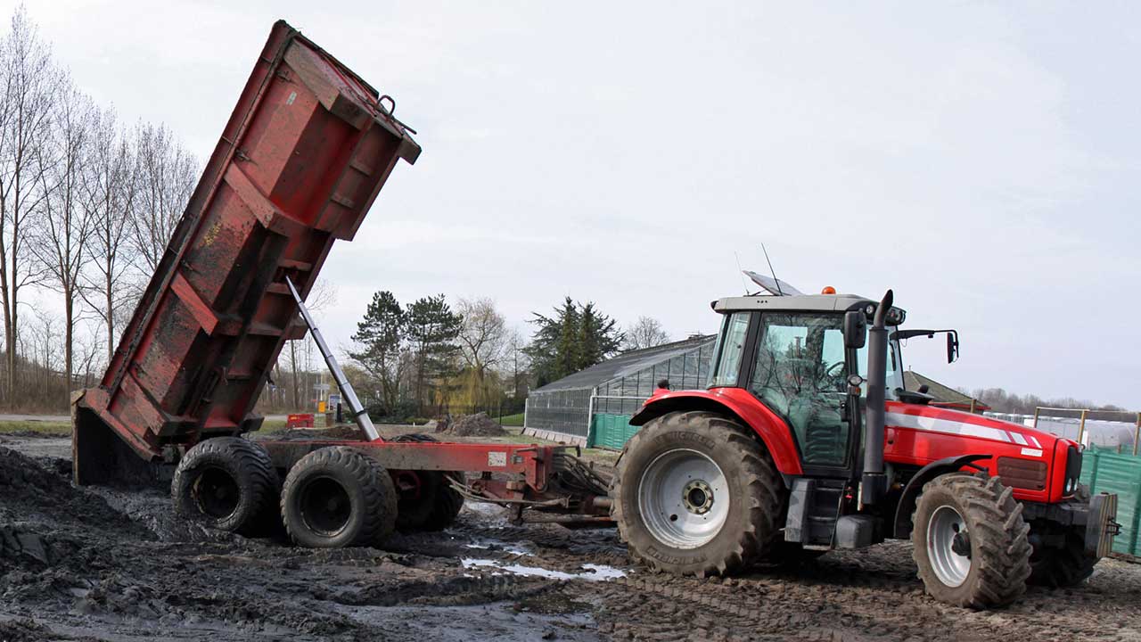 Röd traktor med ett tippande släp på en lerig gård, omgiven av träd och byggnader.